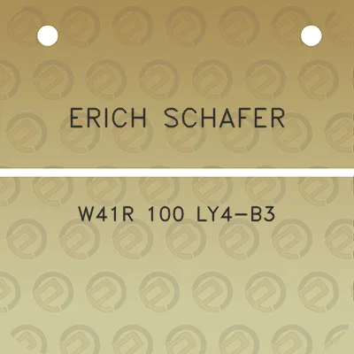 erich-schafer-w41r-100-ly4-b3