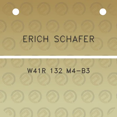 erich-schafer-w41r-132-m4-b3