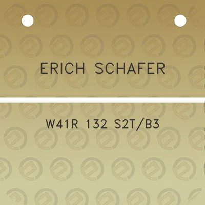 erich-schafer-w41r-132-s2tb3