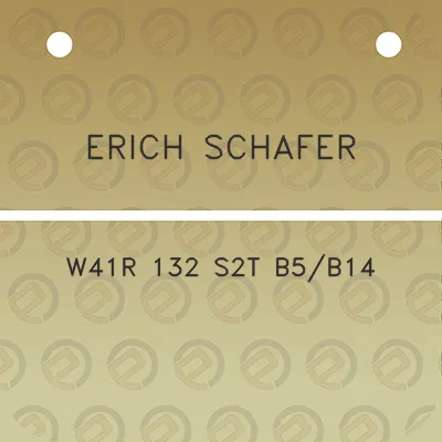 erich-schafer-w41r-132-s2t-b5b14