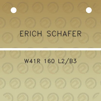 erich-schafer-w41r-160-l2b3