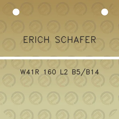 erich-schafer-w41r-160-l2-b5b14