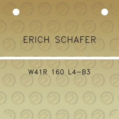 erich-schafer-w41r-160-l4-b3