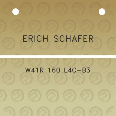 erich-schafer-w41r-160-l4c-b3