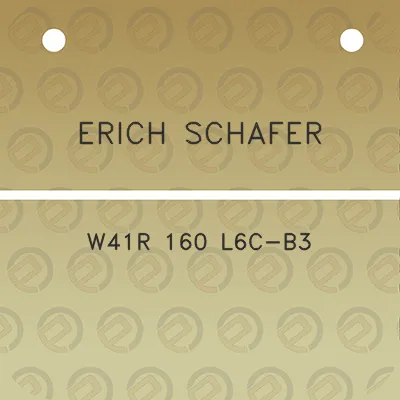 erich-schafer-w41r-160-l6c-b3