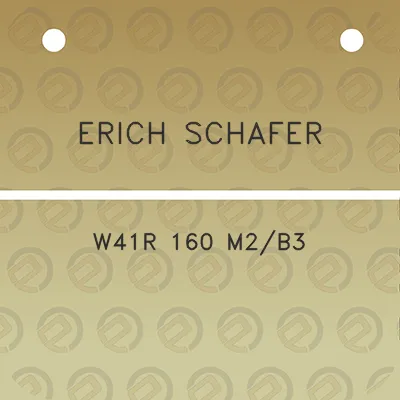 erich-schafer-w41r-160-m2b3