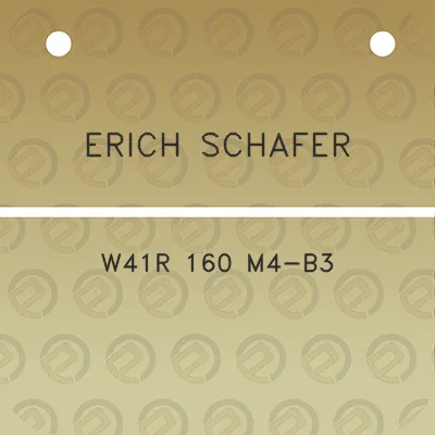 erich-schafer-w41r-160-m4-b3