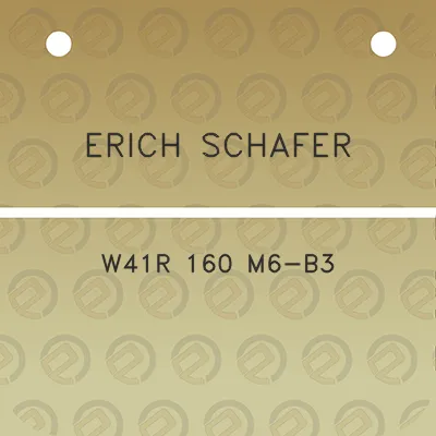 erich-schafer-w41r-160-m6-b3