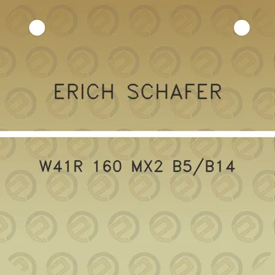 erich-schafer-w41r-160-mx2-b5b14