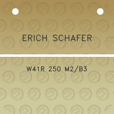 erich-schafer-w41r-250-m2b3