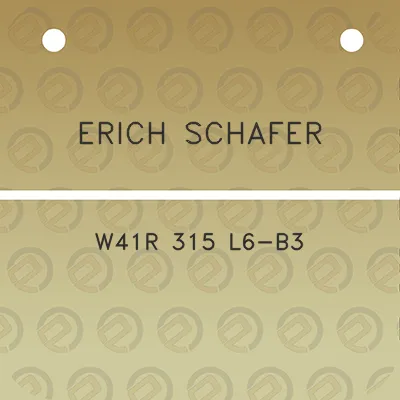 erich-schafer-w41r-315-l6-b3