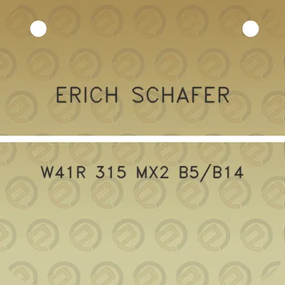 erich-schafer-w41r-315-mx2-b5b14