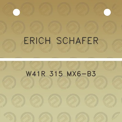 erich-schafer-w41r-315-mx6-b3