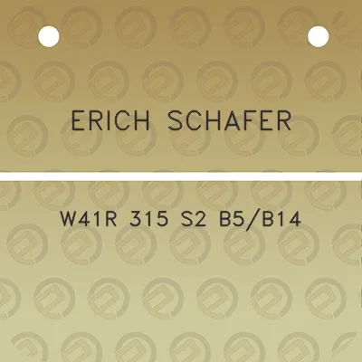 erich-schafer-w41r-315-s2-b5b14