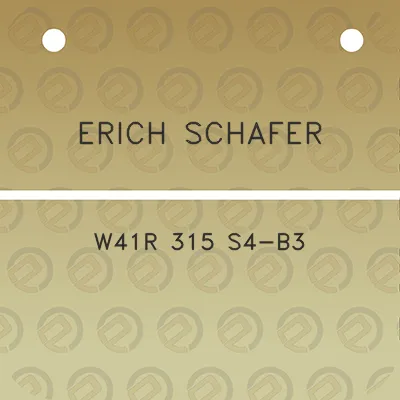 erich-schafer-w41r-315-s4-b3