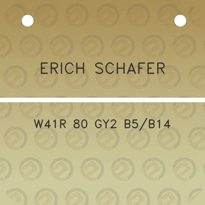 erich-schafer-w41r-80-gy2-b5b14