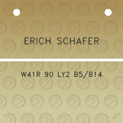 erich-schafer-w41r-90-ly2-b5b14