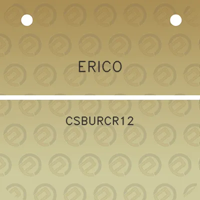 erico-csburcr12