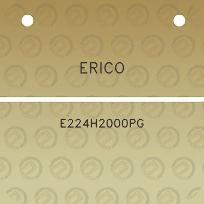 erico-e224h2000pg