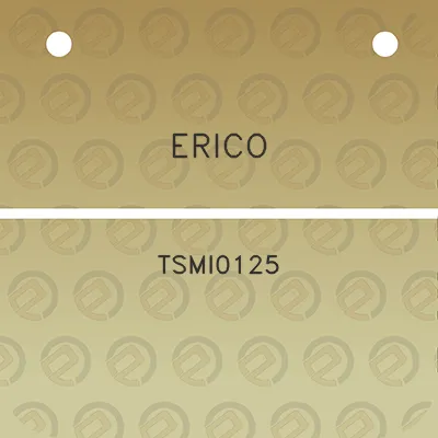 erico-tsmi0125