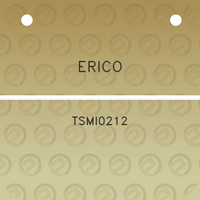 erico-tsmi0212