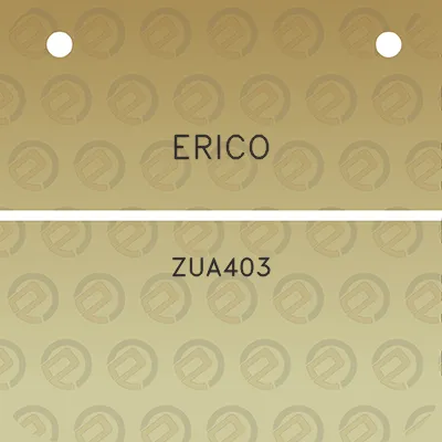 erico-zua403