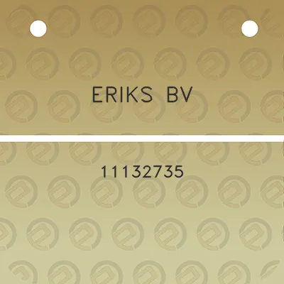 eriks-bv-11132735