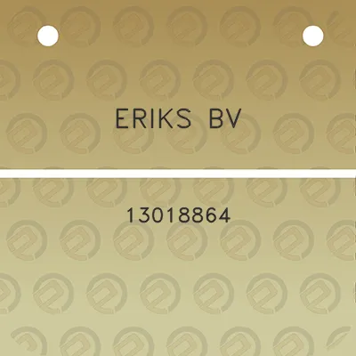 eriks-bv-13018864