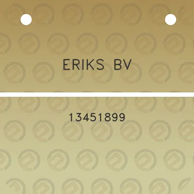 eriks-bv-13451899