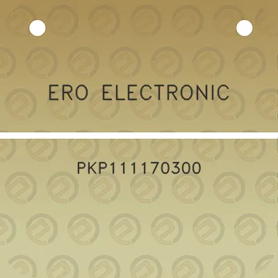 ero-electronic-pkp111170300