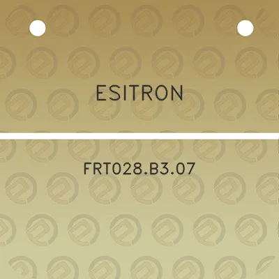 esitron-frt028b307