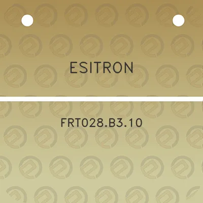 esitron-frt028b310