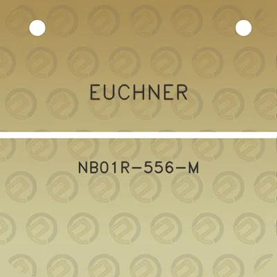 euchner-nb01r-556-m