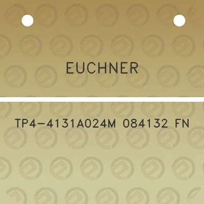 euchner-tp4-4131a024m-084132-fn