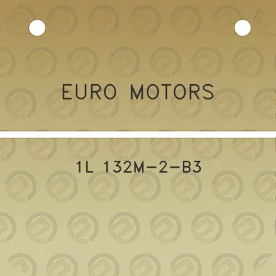 euro-motors-1l-132m-2-b3