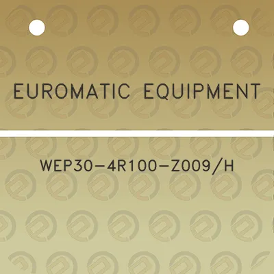 euromatic-equipment-wep30-4r100-z009h