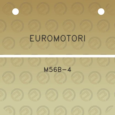 euromotori-m56b-4