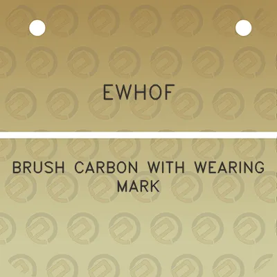 ewhof-brush-carbon-with-wearing-mark