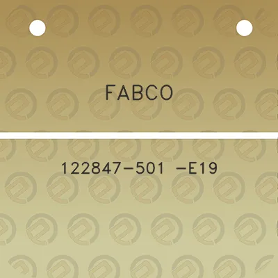 fabco-122847-501-e19