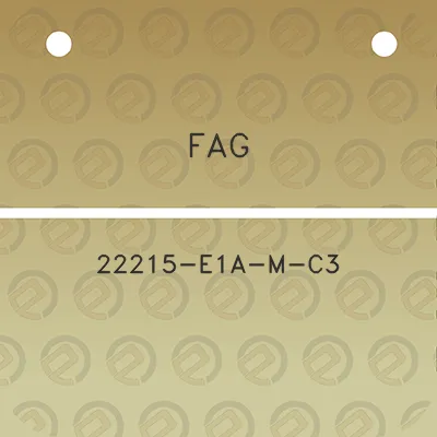 fag-22215-e1a-m-c3