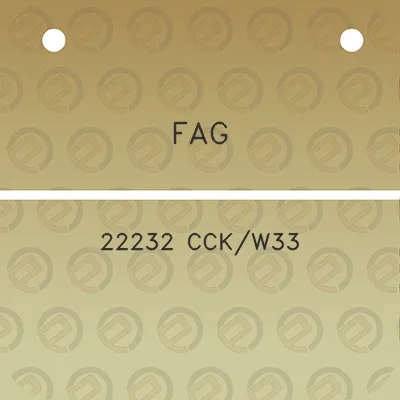 fag-22232-cckw33