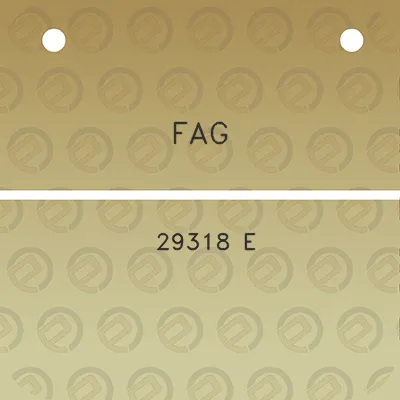 fag-29318-e