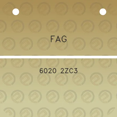 fag-6020-2zc3