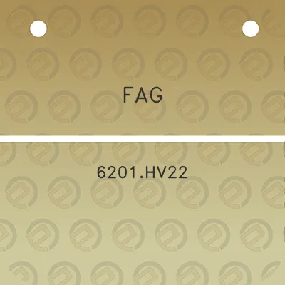 fag-6201hv22