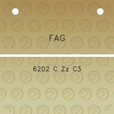 fag-6202-c-zz-c3