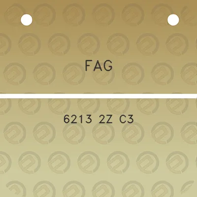 fag-6213-2z-c3