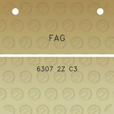 fag-6307-2z-c3