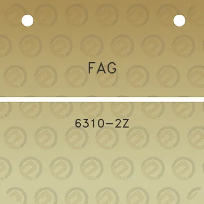 fag-6310-2z