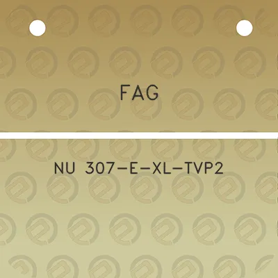 fag-nu-307-e-xl-tvp2