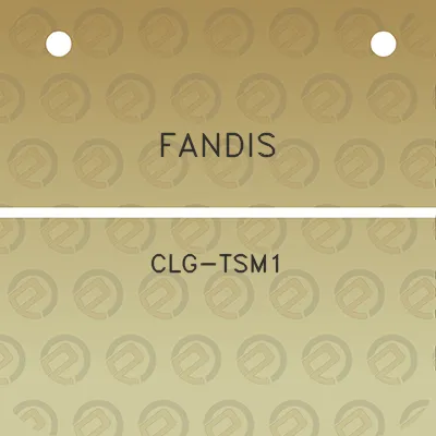 fandis-clg-tsm1